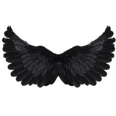 an image of a black bird wing on a white background