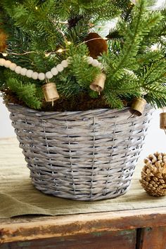 a christmas tree in a wicker basket next to a pine cone ornament