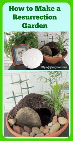 how to make a resurrection garden with rocks and plants in it is easy