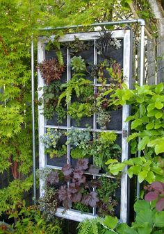 an old window is filled with plants and other greenery in the garden, as well as hanging from it's frame