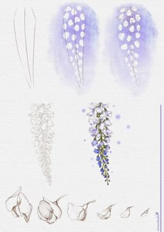 four different types of flowers are shown in this drawing style, including bluebells and white