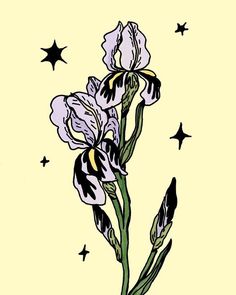 a drawing of a flower with stars in the background