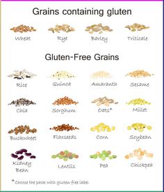 grains containing gluten and free grains are shown in this graphic chart, which shows the