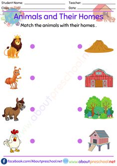 Animals and Their Homes Matching Matching Activities For Preschoolers, Where Animals Live, Evs Worksheet, Animals And Their Homes, Ela Worksheets, Matching Activities, Block Center