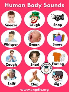 English Words With Pictures, Human Body Organs Name, Body Name In English, Body Sounds Vocabulary, Internal Body Parts For Kids, Human Body Vocabulary, English Conversation Learning, English Word Book, English Transition Words