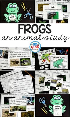 frogs an animal study with pictures and words to help students learn how to use them