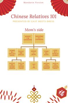 a poster with the words, chinese relatives 101 and an image of a woman's side