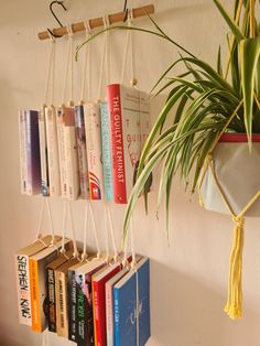 there is a plant hanging on the wall next to some books that are hung up