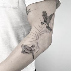 a man with a tattoo on his arm holding a bird in the air and sun behind him