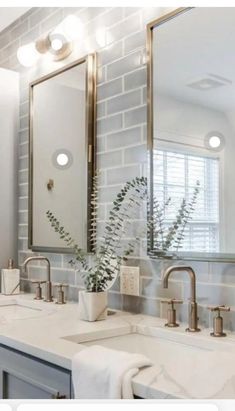 a bathroom with two sinks, mirrors and plants in vases on the counter top