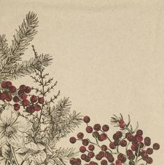 a drawing of some red berries on a tree branch