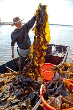 a man standing in the back of a boat filled with seaweed