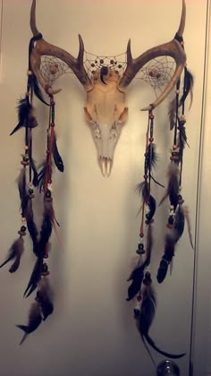 an animal skull with feathers hanging from it's side on a wall next to a door