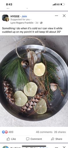 a metal plate topped with lemons and pine cones