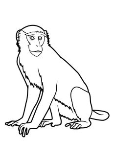 a monkey sitting on the ground coloring page