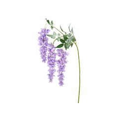 Faux Wisteria Branch - Events and Crafts-Events and Crafts Wisteria Branch, Fake Wisteria, Wisteria Flowers, White Wisteria, Leaves Fabric, Lavender Silk, Tattoo Bracelet, Space Decor, Single Flower