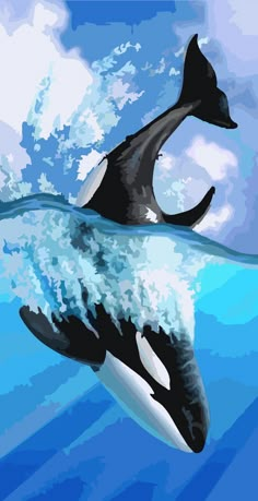 an orca swimming in the ocean with its head above the water's surface