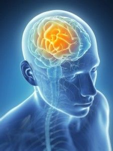 DETOXING FOR BRAIN HEALTH – NEW RESEARCH FINDINGS: CranioSacral Therapy Improves Glymphatic Cleansing of Brain Tissue Cranial Sacral Therapy, Craniosacral Therapy, Brain Diseases, Brain Tissue, Healing Recipes, Gaps Diet, Shiatsu Massage, Senior Health, Health Research