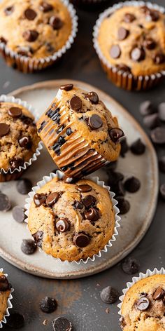 several chocolate chip muffins on a plate