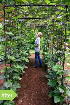 a woman standing in the middle of a garden with lots of green plants on it