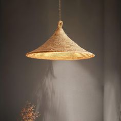 a large woven light fixture hanging from a ceiling in a room with a plant on the floor