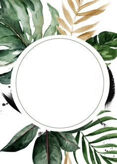 a white circle surrounded by green leaves on a white background with space in the middle