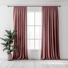 a large potted plant sitting next to a window in a room with white walls