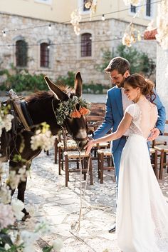 a bride and groom standing next to a donkey