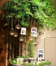 a table topped with pictures and greenery next to a tall tree filled with hanging glass globes