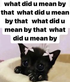 a black kitten laying on top of a bed with a caption above it that reads, what did u mean by that what did u mean by?