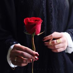 a woman holding a red rose in her hand