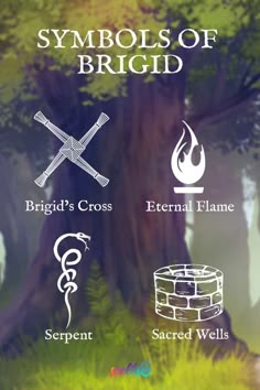 symbols of the symbols for different types of fire, water and wood in an animated style