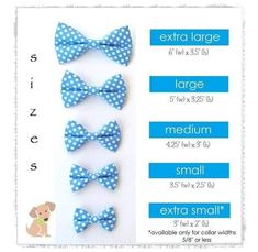 four blue and white polka dot bow clips with extra large size for small dogs or cats