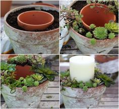 four pictures of succulents in pots with a candle