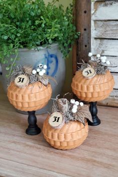 three small pumpkins with numbers on them sitting on a table next to a potted plant