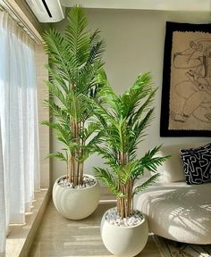 there are two plants in the white vases on the table next to the couch