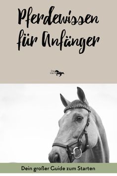 a black and white photo of a horse with the caption's name in german