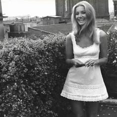 Terrence Loves You, Barbara Bouchet, Harry Clarke, Jean Shrimpton, Sharon Tate, 60s Fashion, Look At You