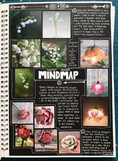 an open notebook with pictures of flowers and words on it that say mindmap