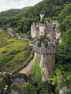 an aerial view of a castle surrounded by trees