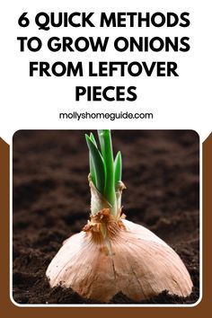 an onion growing in the dirt with text overlay that reads, 8 quick method to grow onions from leftover pieces