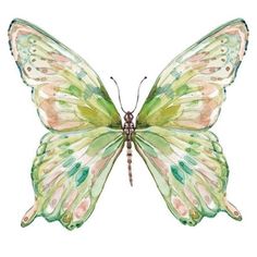 a watercolor painting of a green butterfly with pink and yellow wings on it's wings