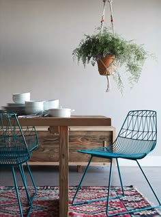 two chairs and a table with plants hanging from the ceiling