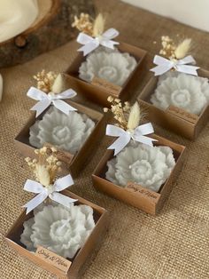 four boxes filled with white flowers on top of a wooden table next to other items