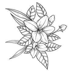 a bouquet of flowers with leaves and buds in black and white on a white background