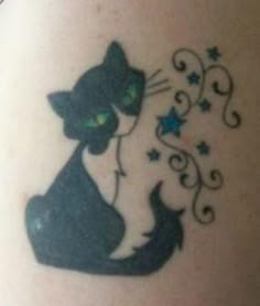 a black and white cat with stars on its back