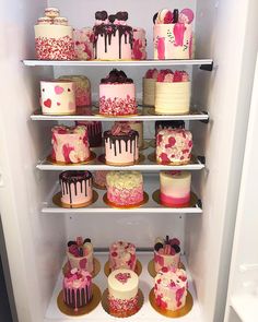 a refrigerator filled with lots of different types of cakes