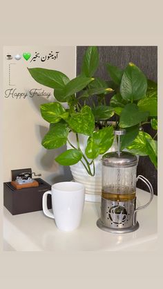 a potted plant sitting on top of a table next to a coffee maker and cup