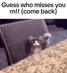 a cat sitting on top of a chair next to a table with the caption guess who misses you n come back