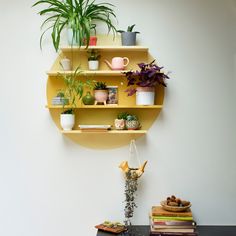 a wall shelf with plants and books on it